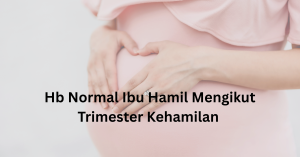 hb normal ibu hamil