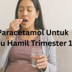 paracetamol untuk ibu hamil trimester 1