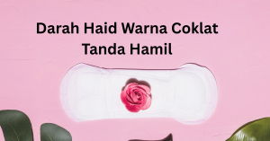 darah haid warna coklat tanda hamil