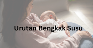 urutan bengkak susu