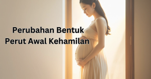 bentuk perut awal kehamilan