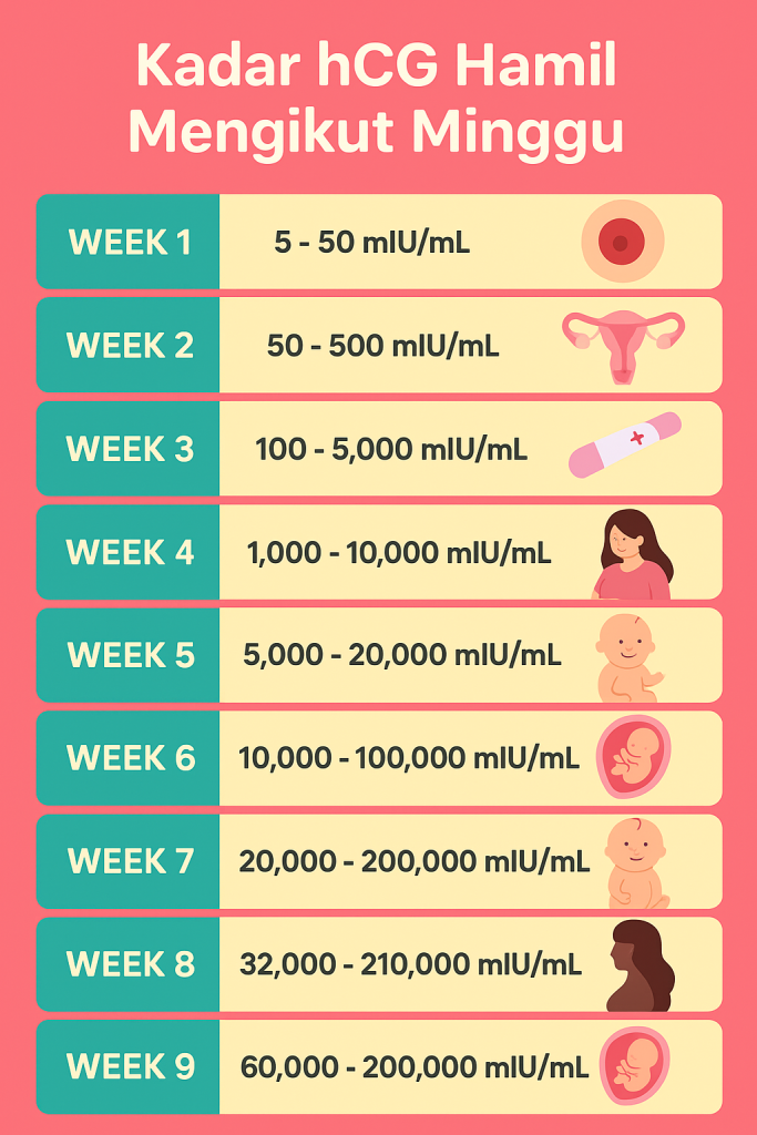 kadar hcg hamil 1 minggu
