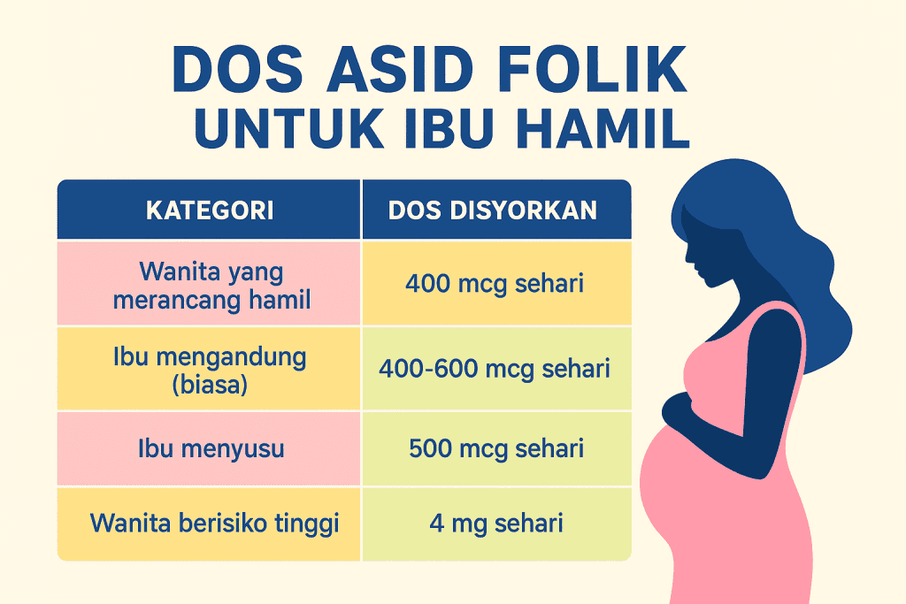 asid folik untuk apa