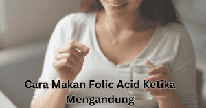 cara makan folic acid ketika mengandung