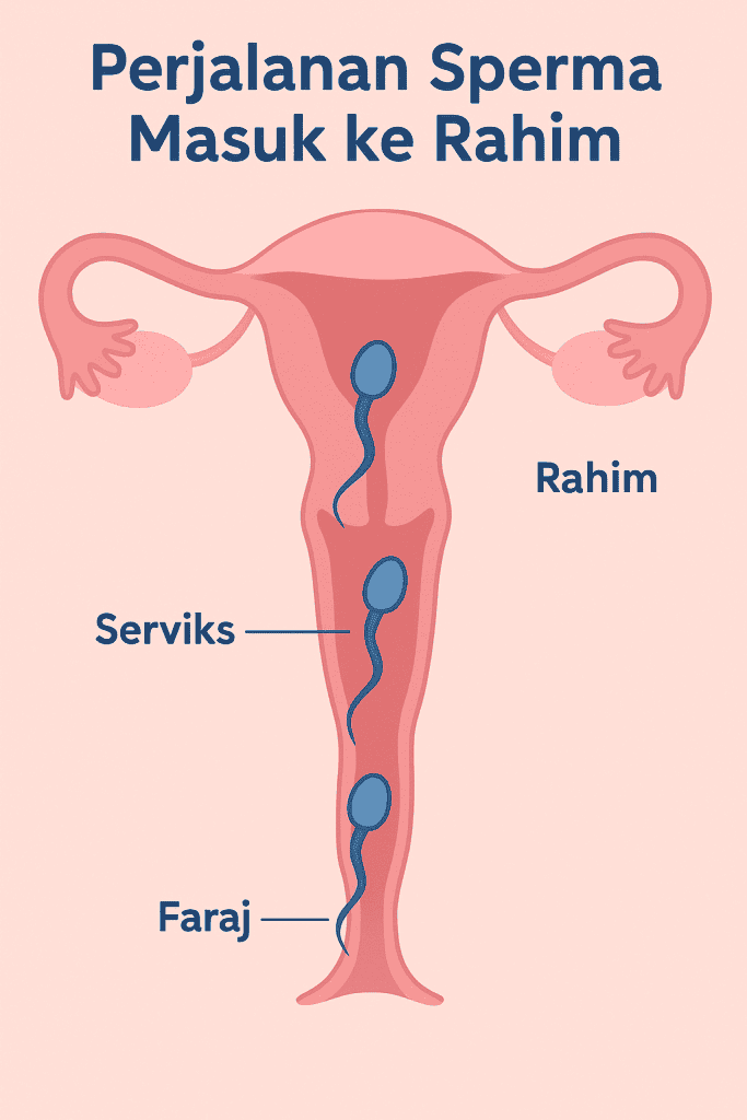 tanda air mani masuk ke rahim